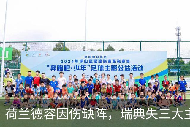 荷兰德容因伤缺阵，瑞典失三大主力球员